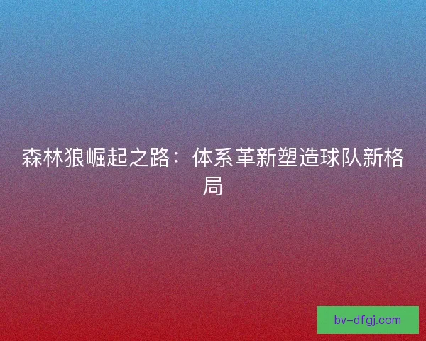 森林狼崛起之路:体系革新塑造球队新格局 森林狼崛起之路:体系革新塑造球队新格局